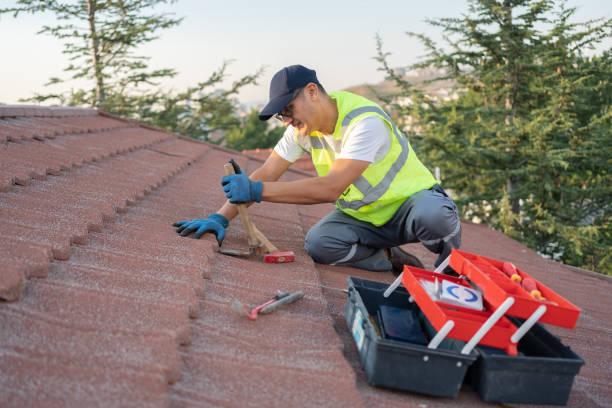 Best Commercial Roofing Services  in Carrollton, IL