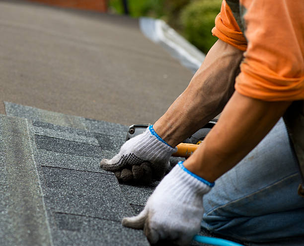 Best Residential Roofing Contractor  in Carrollton, IL