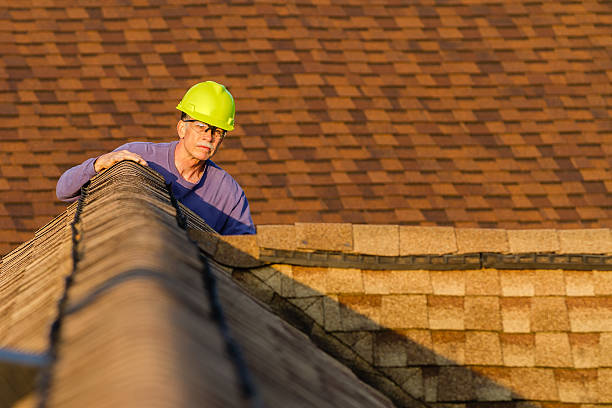 Best Roof Restoration Services  in Carrollton, IL