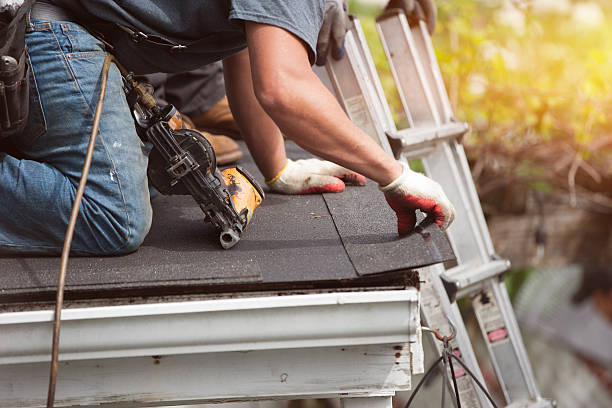 Roof Gutter Cleaning in Carrollton, IL
