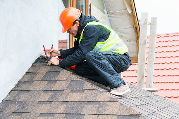 Best Roof Leak Repair  in Carrollton, IL
