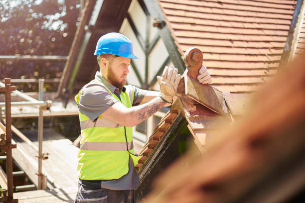 Best Roof Maintenance Services  in Carrollton, IL