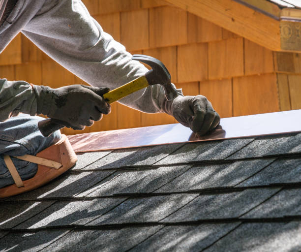 Best Roof Repair Services  in Carrollton, IL